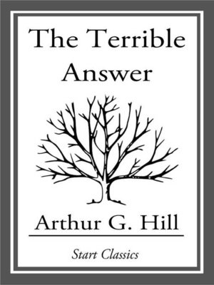 cover image of The Terrible Answer